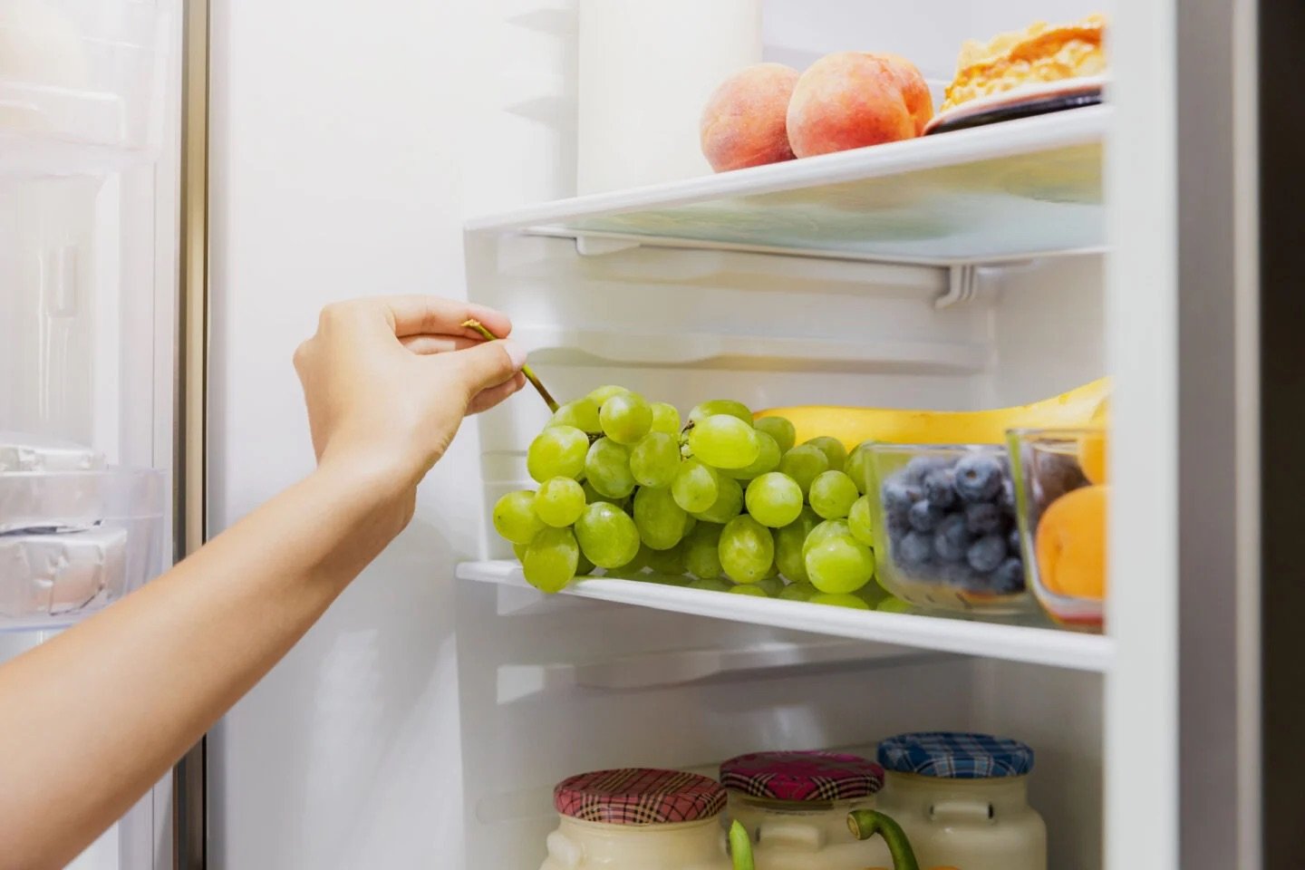 gà nòi đá cựa sắt gà nòi đá cựa sắt