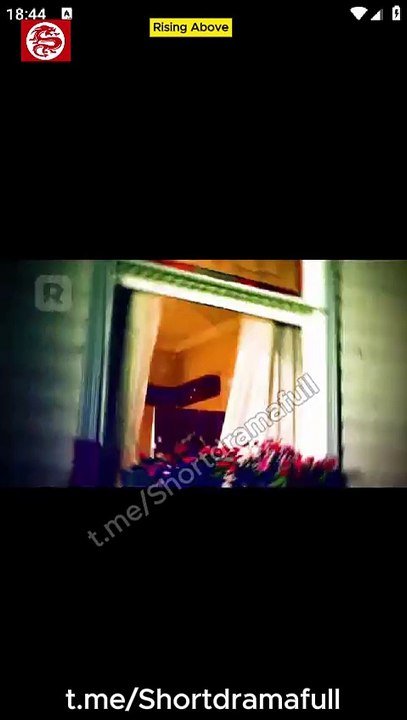 đá gà thomo ngày 5 tháng 5 năm 2019