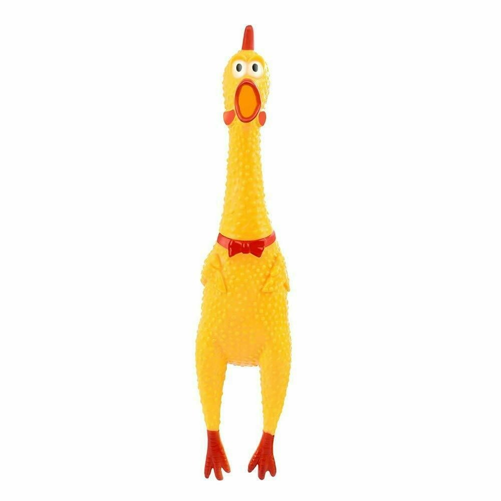 đá gà trực tiếp 15 12 19 đá gà trực tiếp 15 12 19