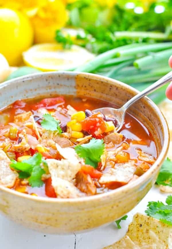 đá gà thomo trực tiếp hôm nay có bình luận đá gà thomo trực tiếp hôm nay có bình luận