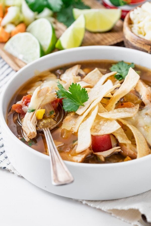 gà đá bị té gà đá bị té
