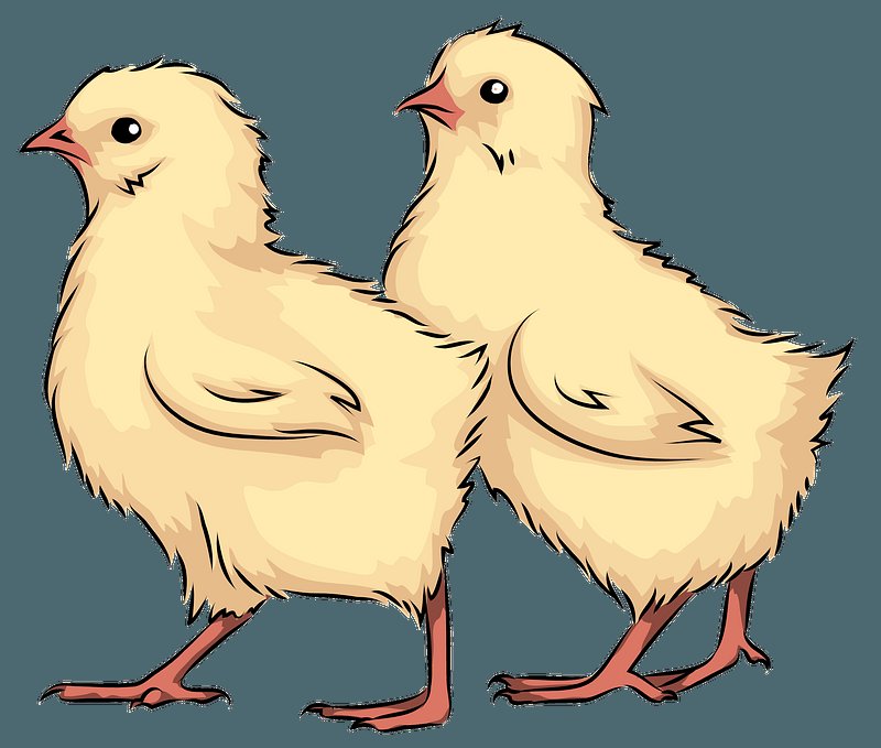 đá gà chọi mới nhất