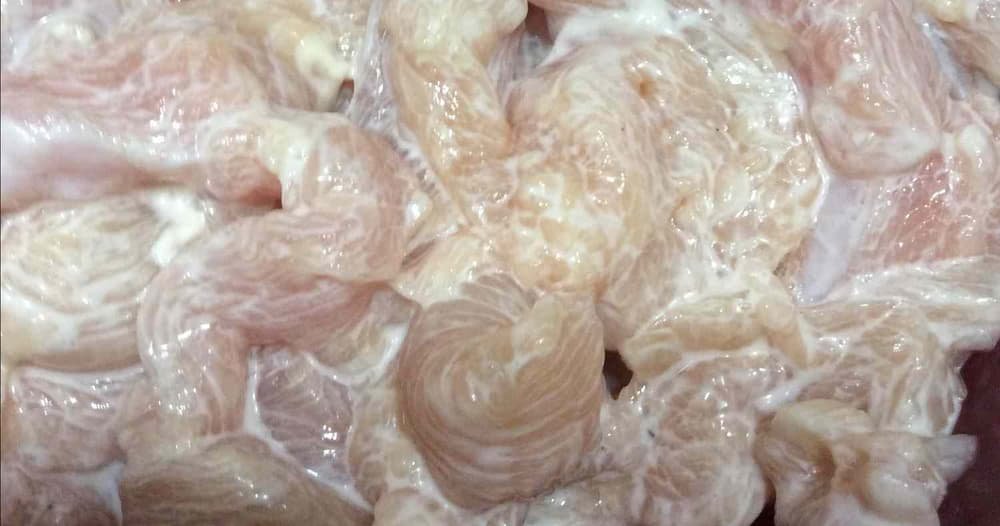 đá gà trực tiếp việt nam