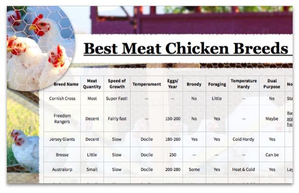 đá gà trực tiếp thomo hôm nay chủ nhật đá gà trực tiếp thomo hôm nay chủ nhật