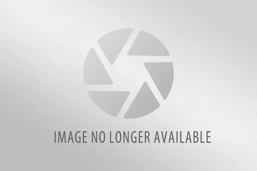 nuôi gà đá có lực nuôi gà đá có lực