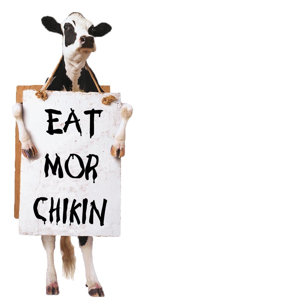 Sự Hấp Dẫn Của Trận Đá Gà Mạng Thomo Mới Nhất